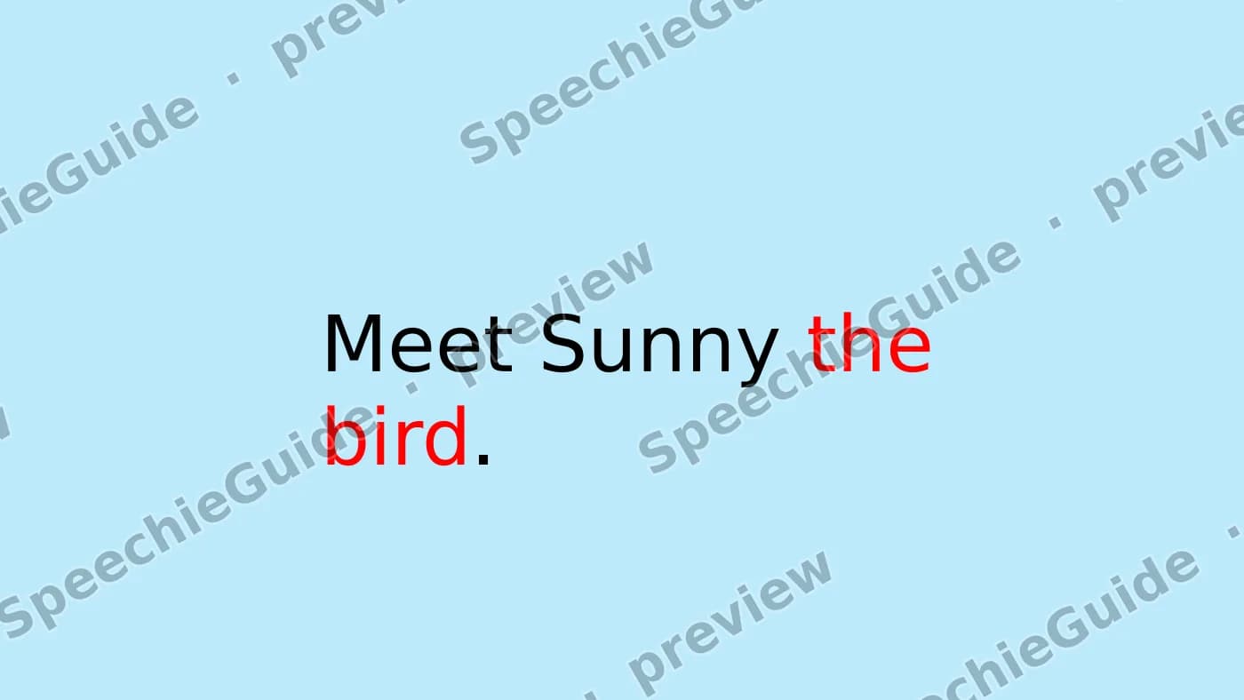 Cover slide of Reading Comprehension Sunny the bird
